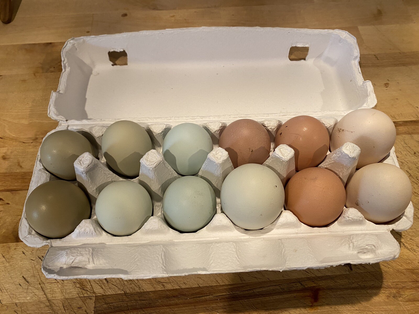 6 Fresh & Fertile Chicken Hatching Eggs Assorted Barnyard mix *FANCY