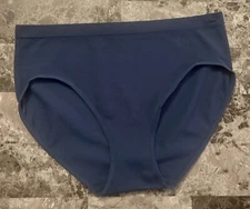 NWOT GAP BODY BLUE RIBBED STRIPE LOGO HARDWARE STRETCH SEAMLESS BRIEF PANTIES