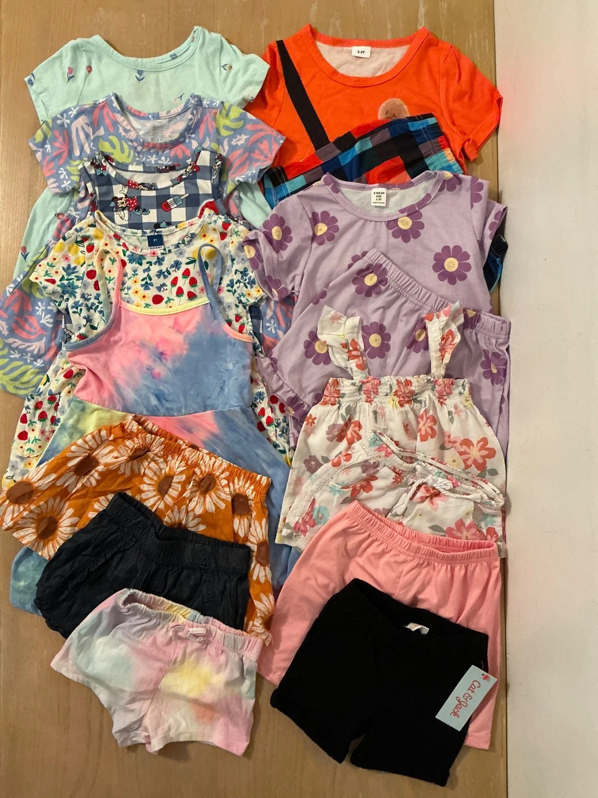 Shein, Garanimals, Disney, Others Toddler Girls Clothing Lot of 16 Size 2T, 2-3