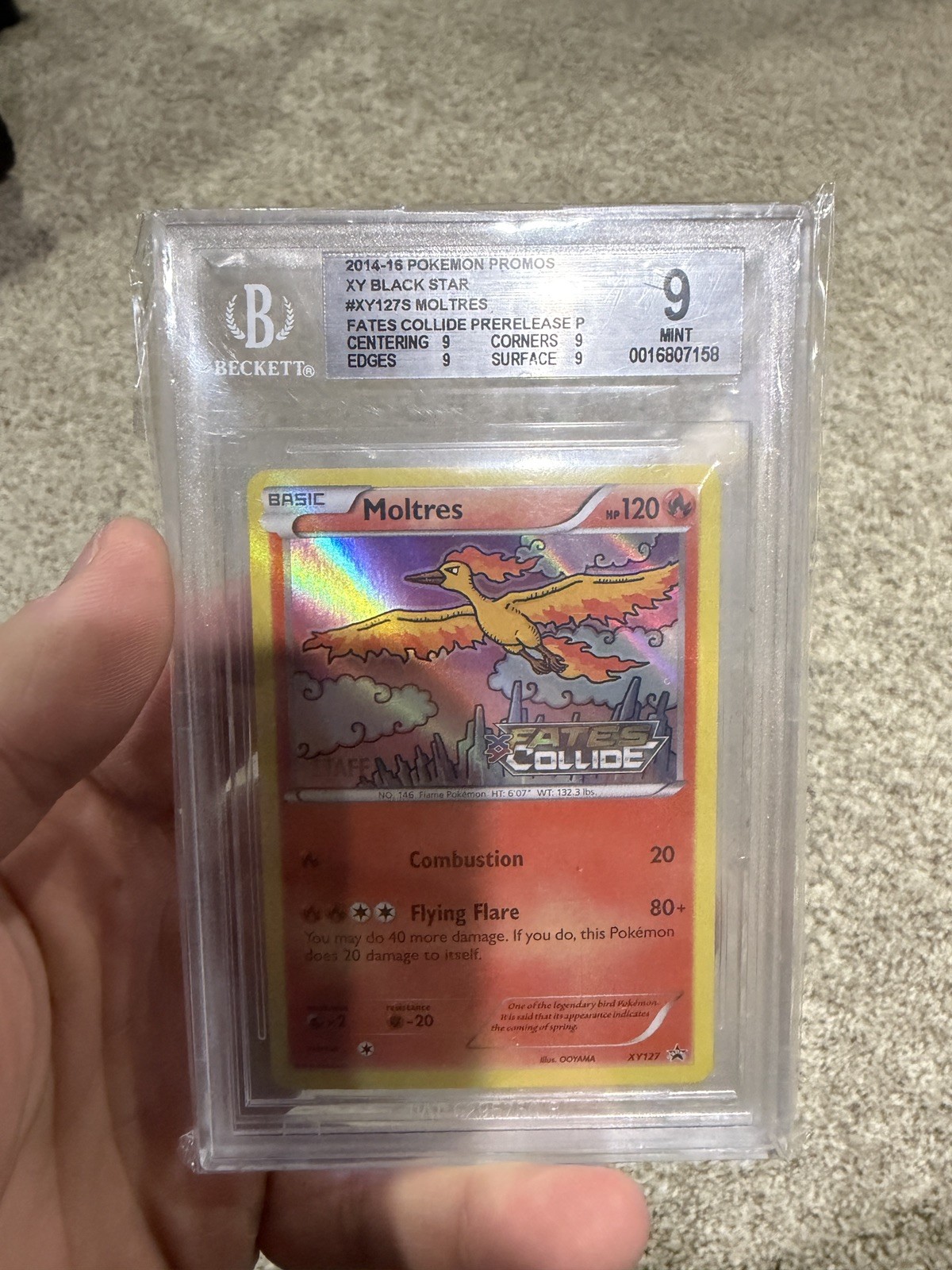 POKEMON XY BLACK STAR PROMO FATES COLLIDE-STAFF #XY127 MOLTRES-HOLO BECKETT 9 