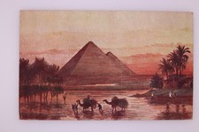 Egypt Cairo Pyramids Camels Cairo Postcard Trust No100 12