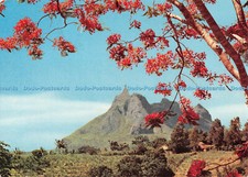 D088472 7. Pieterboth Mountain and Flame Tree. Offsetcolor. Mauritius Ile Mauric