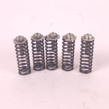 Honda 250 Crf 2014-2017 Spring Clutch