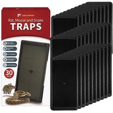 LULUCATCH Super Glue Traps 30 Pack for Mice & Snakes, Larger, Heavier Sticky ...