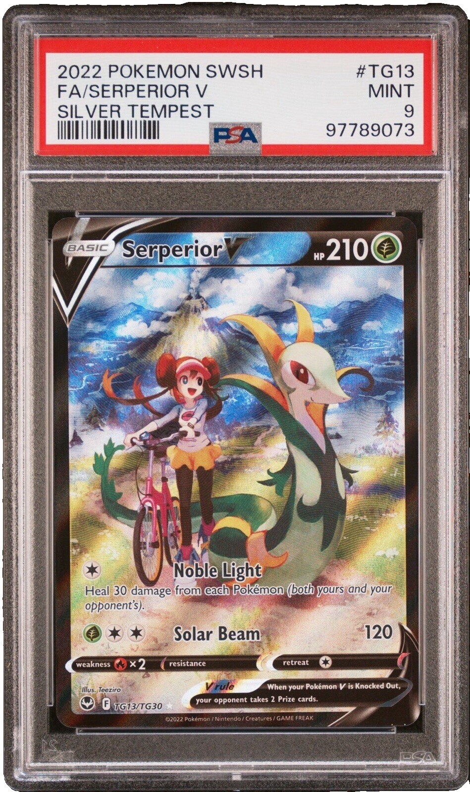 silver tempest pokemon card price Pack 'Sealed Pokemon at the Best Prices' a players guide and rulebook Pokemon Trading Card Game Sword