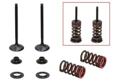 NEUF PSYCHIC  La soupape d'échappement KAWASAKI KXF 250 (04-16)