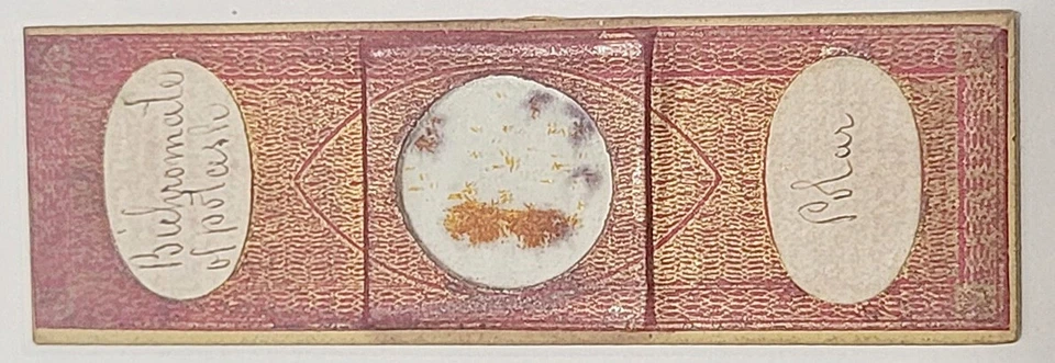 Старинный слайд микроскопа от J. Amadio - Лондон "Биохромат калия". образец - Изображение 2 из 4