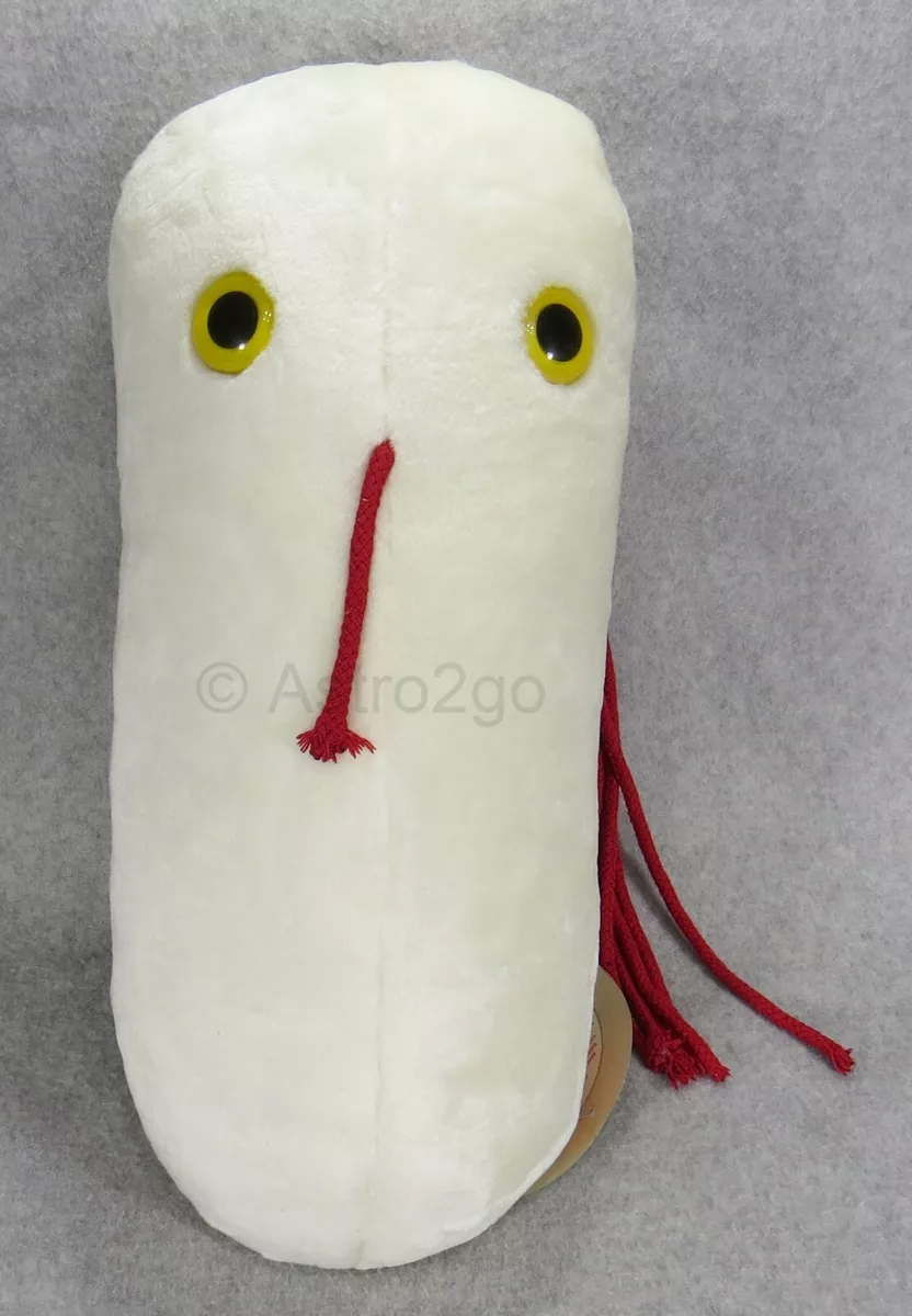 Giant microbes sale salmonella
