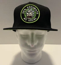 rick and morty snapback hat