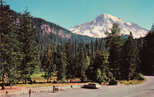 Verdant Longmire Camp Grounds Mount Rainier National Park Washington WA Postcard
