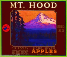 Hood River Oregon Mt. Apple Fruit Crate Label Art Print