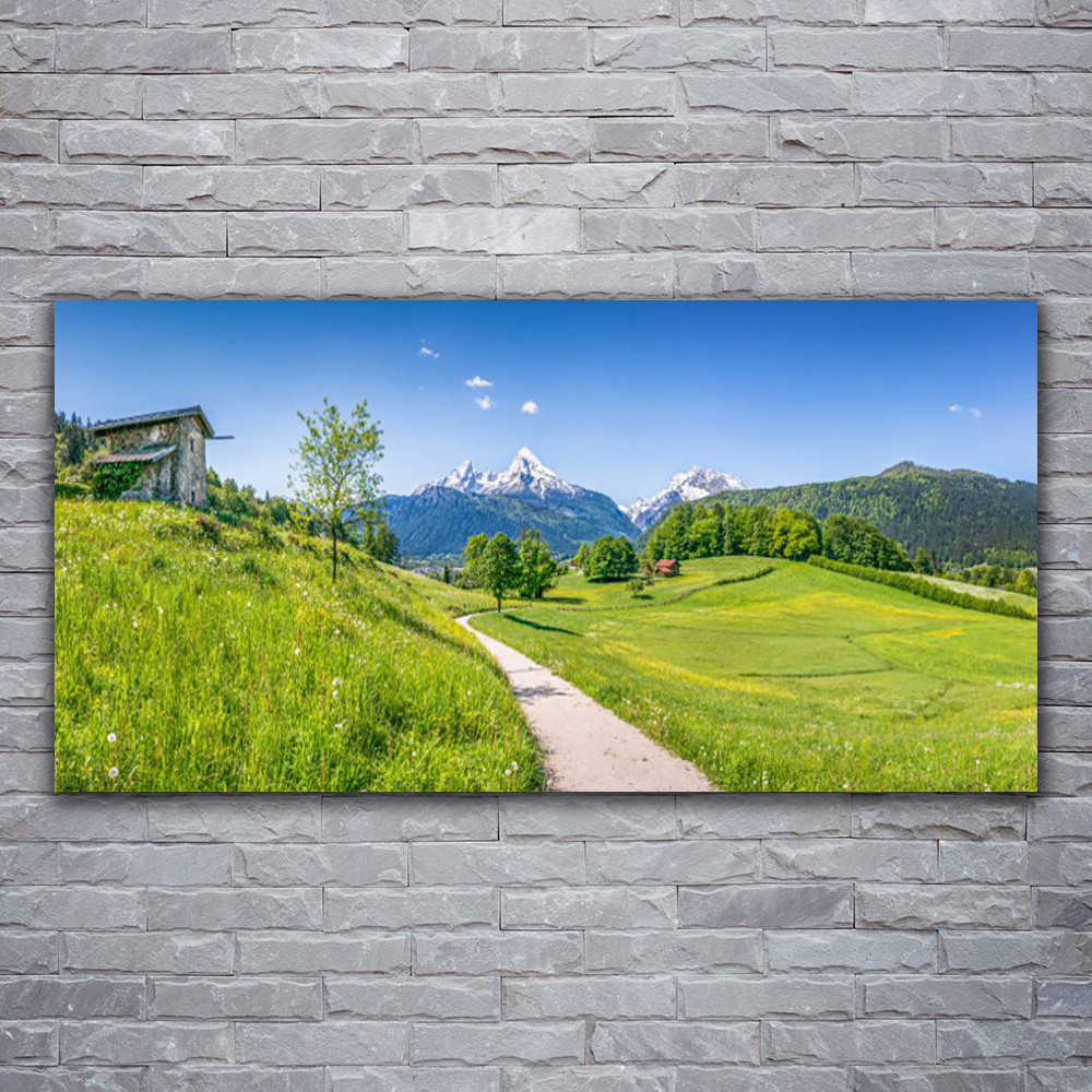 Tableau plexiglas 120x60 cm impression photo paysage prairie