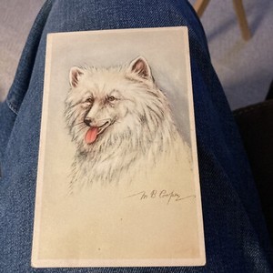 Samoyed Dog Portrait, artist signed