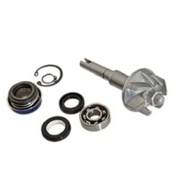 Wasserpumpenmechanismus FüR Maxi-Scooter Von Teknix Passend FüR 125 Honda Sh/P
