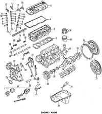 Genuine Nissan Timing Chain 13028-8b000