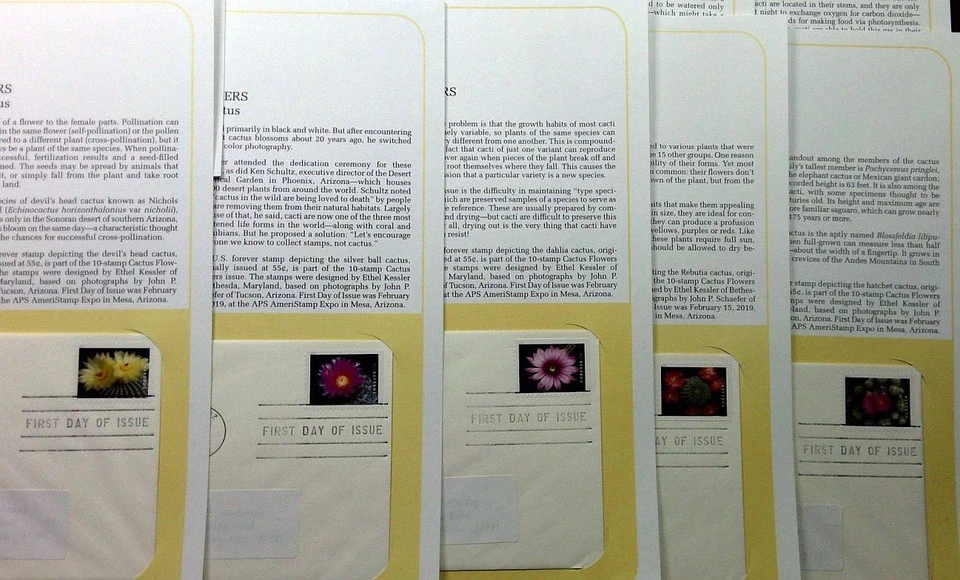 Cactus Flowers Sc 5350-5359 FDC 2019 PCS desierto botánica flor planta natural Foto 4 de 4