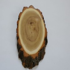 Akazie Reh Bock Trophäenschild AF 19 cm Rehbock Baumscheibe Baumschild