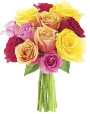KaBloom : 12 Assorted Roses with Lush Greens, Next-Day Delivery, Gift for Every