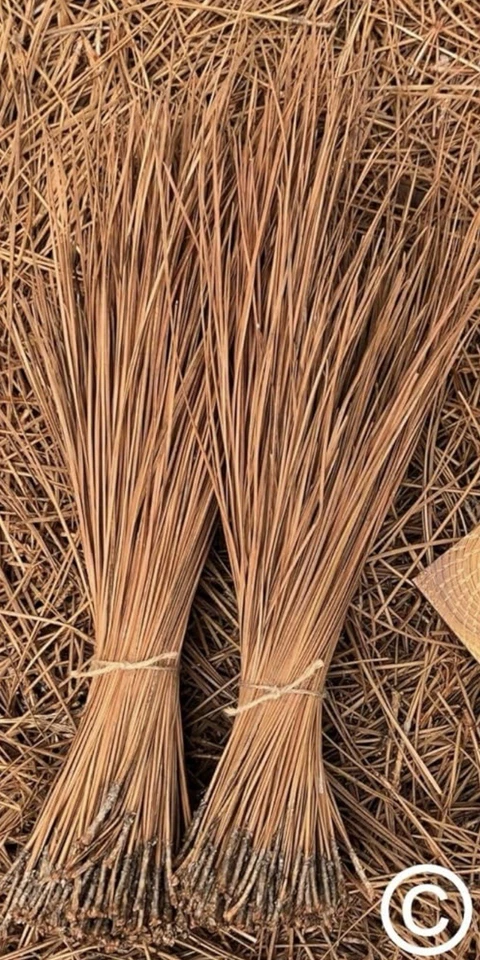 Long Leaf Pine Needles 10oz Bundle - Image 4 of 4