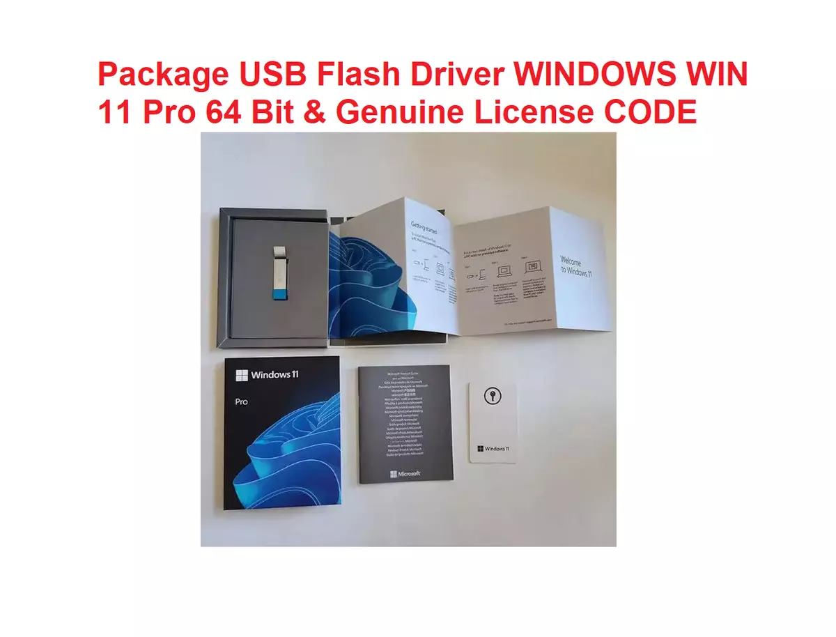 Microsoft Windows 11 Pro - Flash License