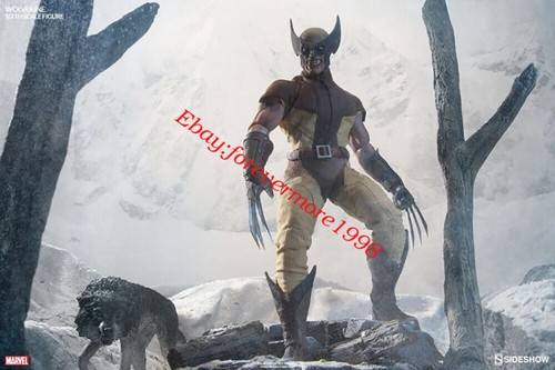 Sideshow Collectibles 100176 X-Men 1/6 Scale Wolverine Action Figure Toy Model - Picture 8 of 9