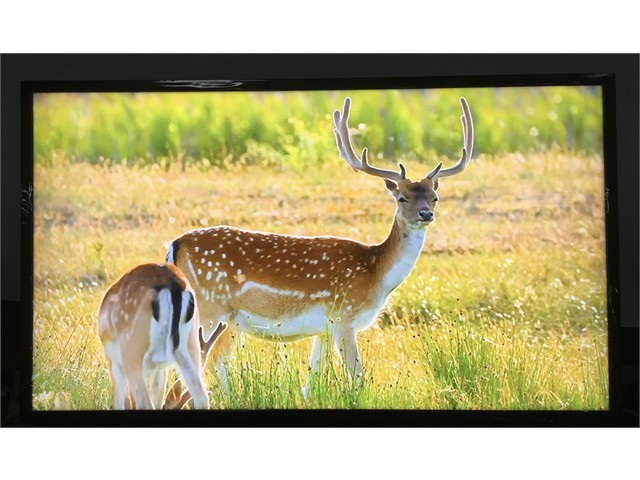 Samsung OM46B 46" Full HD Smart Digital Signage Display In-Window Full Sun