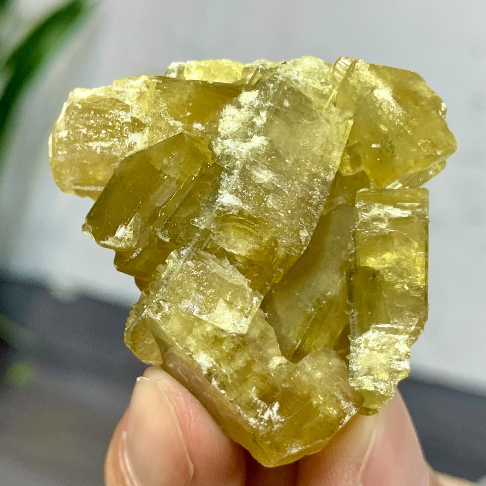 83G Shiny Golden Cuboid Barite Crystal Based on the Purple Spherical Fluorite