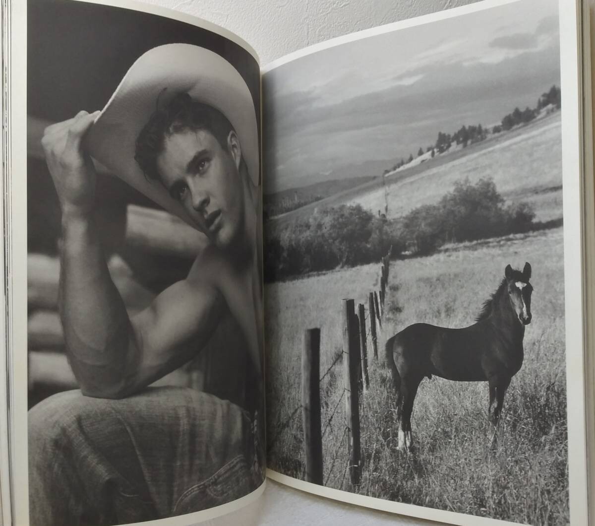 Bruce Weber Photo book All-American Little Bear Press | eBay Bruce Weber Photo book All-American Little Bear Press | eBay