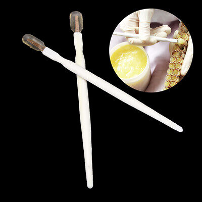 Acheter 5PCS Portable Bee Milk Royal Jelly Scraper Pulp Take Pen Plastic White Bee T.ko