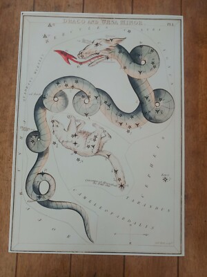Draco and the Ursa Minor Astronomical Chart Illustration Sidney Hall 1831