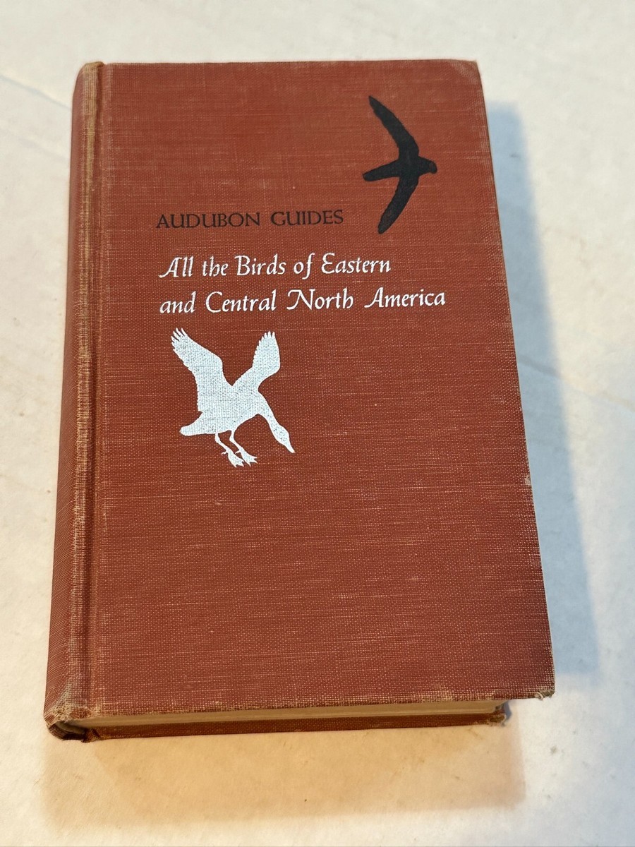 Rare Bird Guides