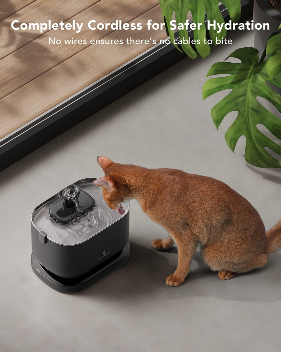 ziwi peak cat wet food ZIWI Peak main image 0