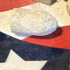 Dug Civil War 💥 🇺🇸 💣 Wormed Confederate Enfield Bullet