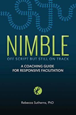 Flink: Ein Coaching-Leitfaden für reaktionsschnelle Erleichterung von Rebecca Sutherns...