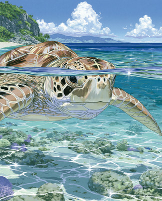 Sea Turtle Breaking Surface Above a Shallow Tropical Reef Print - 906957620
