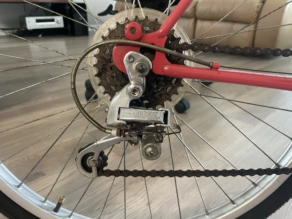 Bicicleta de colección Zebra Ranger Foto 3 de 4