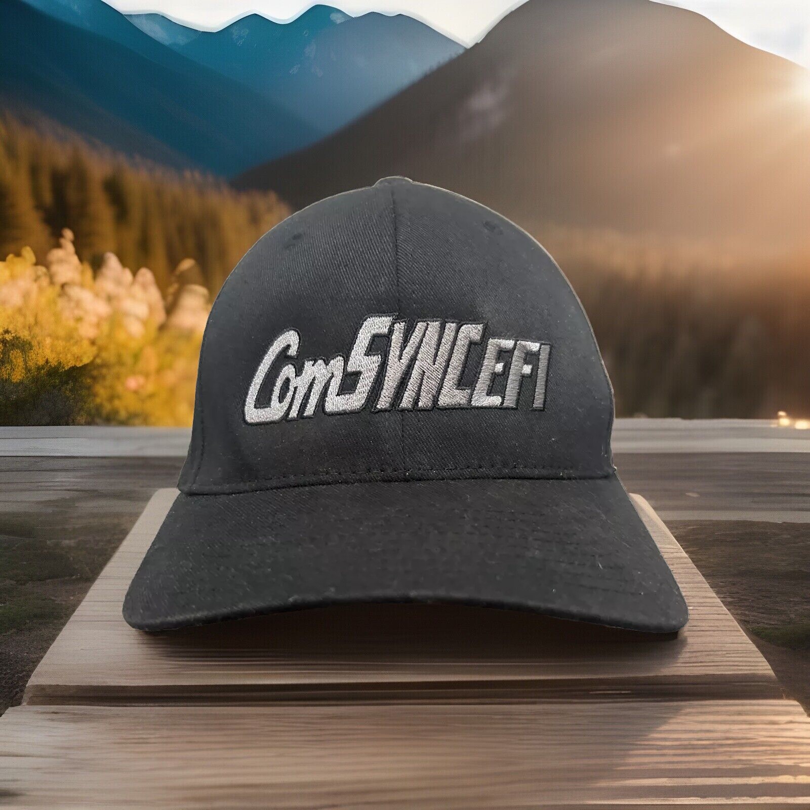 ComSync EFI Electronic Fuel Injection Motorsport … - image 1