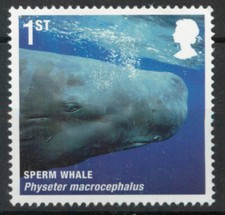 Sperm Whale Physeter macrocephalus animal GB 2010 MNH mint stamp D166