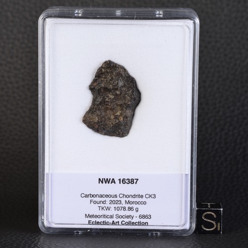 Météorite NWA 16387 de 4,73 g - Chondrite Carbonée type CK3 - Foto 8 di 11