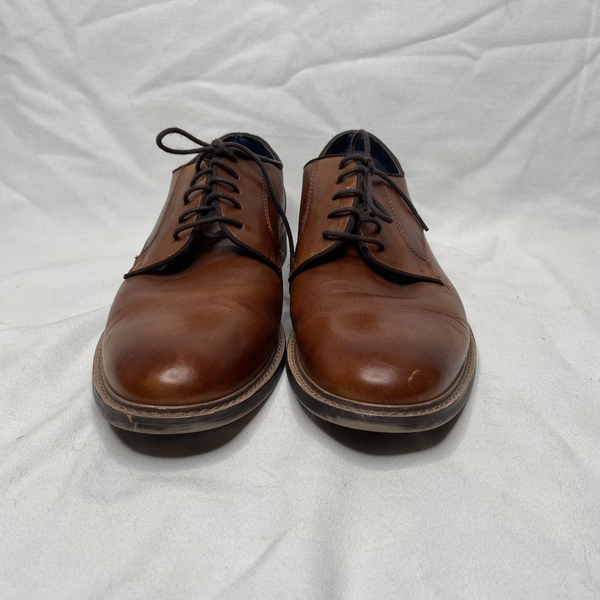 Steve madden biltmore oxford sales
