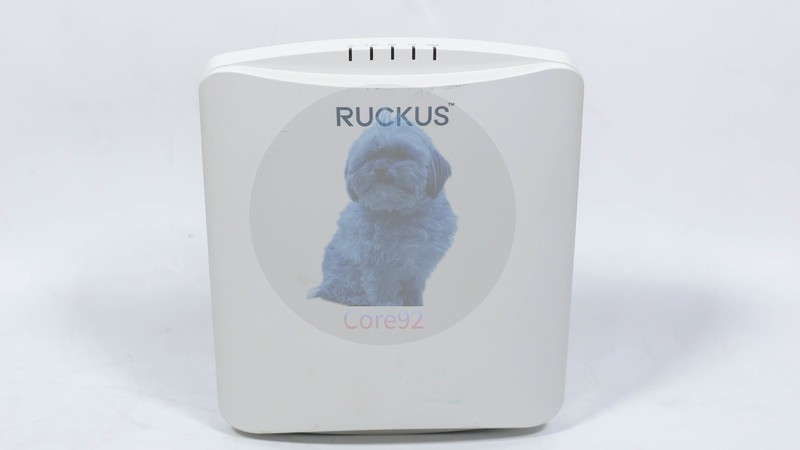 Ruckus 9U1-R750-US00 Indoor Wi-Fi 6 (802.11ax) Access Point, Clean and reset