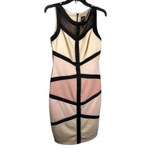 JAX Colorblock Sheath Dress Mesh Neckline Sleeveless Sheath Career Size 10