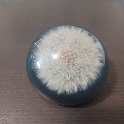 VTG Tarax Infinity Dandelion Puff Flower Seed Acrylic Paperweight 3'' Handcrafted