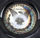 1881 S Morgan Silver Dollar PCGS Graded MS62 Rainbow Color Toning Toned Coin EOR