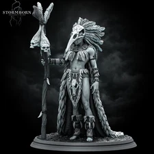 Lagath The Female Orc Seer Fantasy Tabletop RPG Miniature Gift For DnD