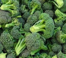 Premium Waltham 29 Broccoli Seeds - Most Popular Variety in the World!