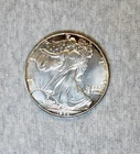American Silver Eagle 1988 1 Troy Oz Bullion Coin ASE Nice Toning Around Rim