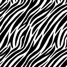 Blank Quilting A To Zoo Zebra Print Black White Cotton Fabric By The Yard