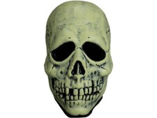 Glowin Ghoulies Skull Mask Vinyl Halloween Costume Trick or Treat Studios TOT