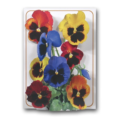 Pictoria Press 3D Pop Up Greeting Card Flower Collection Birthday Any occassion - Picture 30 of 37